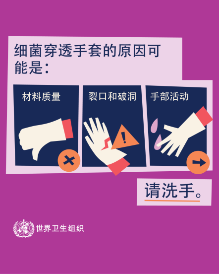 图片6